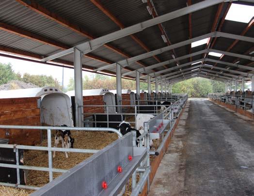 Při návštěvě jsme viděli několik dobrých nápadů pro využití na našich farmách. Náš zájem se také soustředil na plemenářskou práci v tomto chovu.