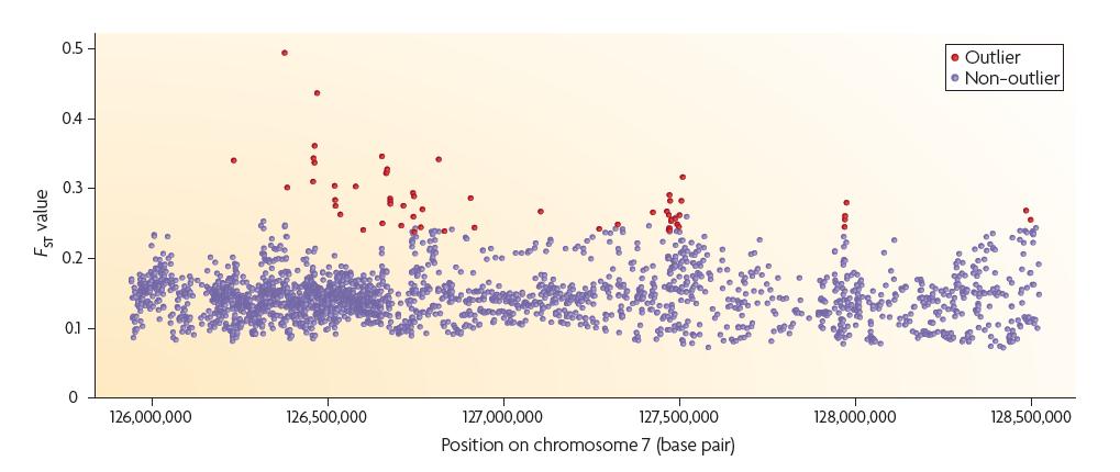 Ostrovy se zvýšenou genetickou diferenciací (F ST ) Oblasti genomu (1) se sníženým genovým tokem