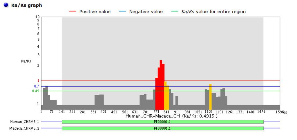 K A /K S test V rámci jednoho genu může na některé kodóny působit pozitivní selekce, na jiné negativní a jiné se mohou vyvíjet