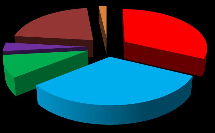 Druhá nejčastěji zastoupená odpověď byla optimisticky sestavený rozpočet. Tuto odpověď zaznamenalo 44 % firem.