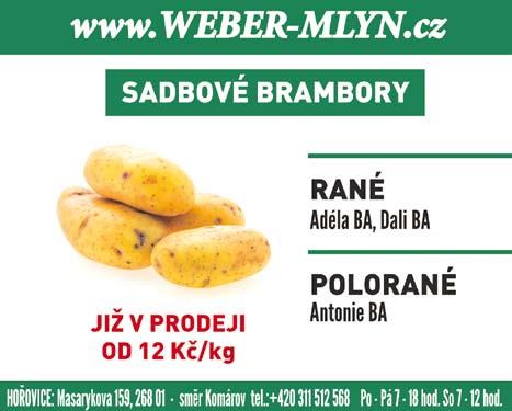 obdiv a neskutečný dík. Proto jsem Pavla oslovila, aby se pokusil pana Endrleho oslovit s dotazem, zda by pro čtenáře Podbrdských novin nemohl představit svého koníčka a díla, která z něj vycházejí.