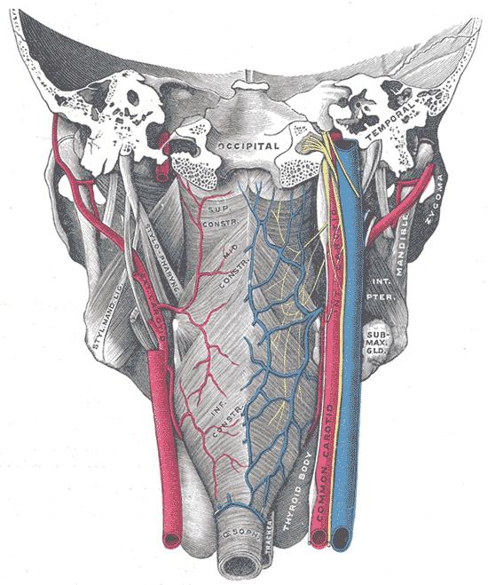 G1028