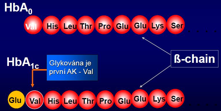 HbA 1c glykace HbA1c vzniká glykací na N-konci b-řetězce