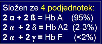 přednáška