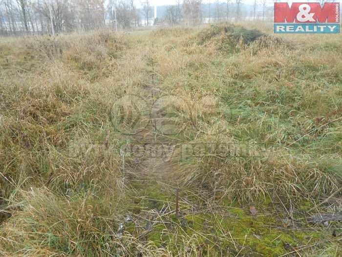 nemovitých