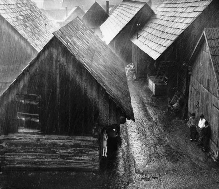 umění výtvarné a zároveň fotografovala pro galerii výstavy. Dlouhodobé zdravotní potíže vyvrcholily v roce 2001 odchodem do invalidního důchodu.