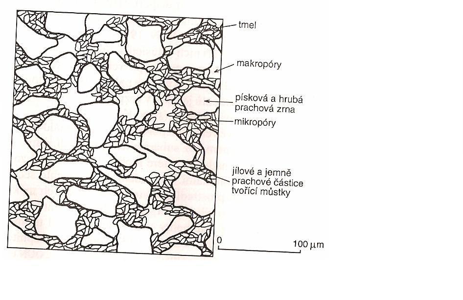 2. Spraše 2.1. Charakteristika sedimentu, petrologické vlastnosti Spraš je terestrický sediment, ve kterém převaţuje eolický prach - tzn. minerální částice o velikosti 0.01 0.06 mm.