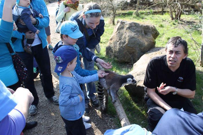 Sportovní odpoledne v Zoologické a botanické