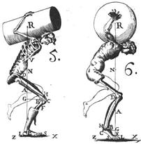 Biomechanika kosterní soustavy člověka Biomechanika