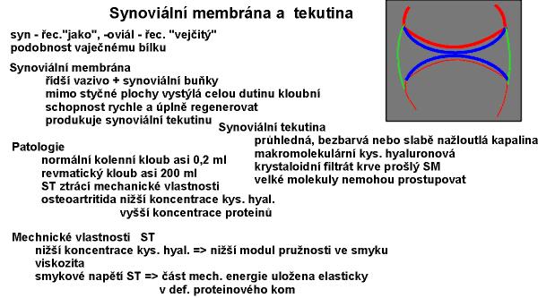 Synoviální