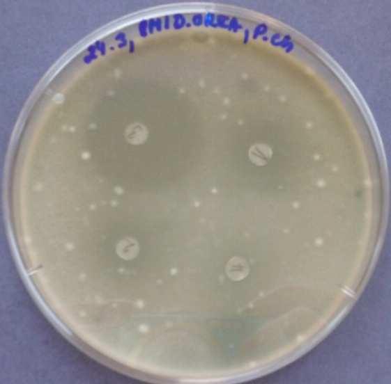 pokr. Obr. 9. 3. 10: Imidazolidinylurea 10.