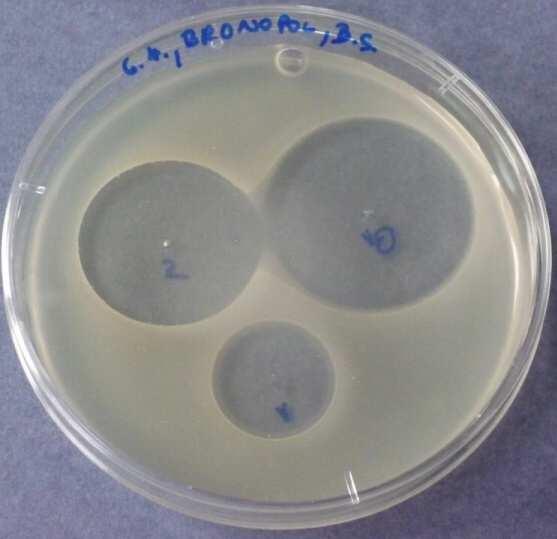 8: Imidazolidinylurea 10.