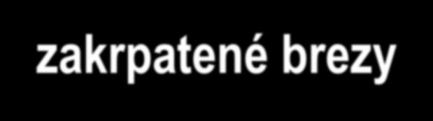 1. Tundra v najsevernejšej časti Ázie pôdy sú
