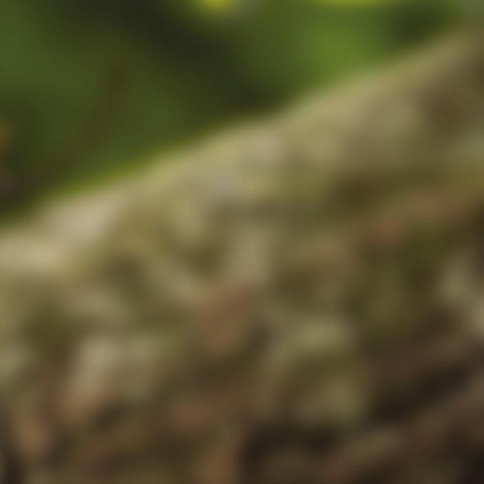 www.natur.