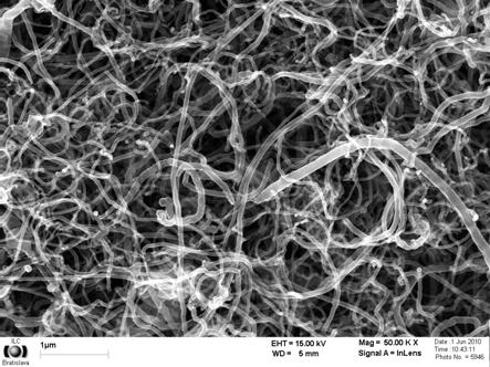 Fig. 2 SEM images of neat MWCNTs (left) and PBA-MWCNT (right) Cholesterol-chloroformate was grafted to MWCNTs by esterification of 4- hydroxyethylphenyl MWCNTs in the presence of triethylamine (Et 3