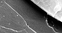 Závislost meze pevnosti na obsahu nanočástic 60,00 50,00 mez pevnosti (MPa) 40,00 30,00 20,00 0% (CHS Epoxy 200