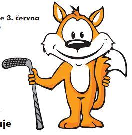 Floorball Quinta cup 2012 I když nepatříme zrovna k rodinám, které svůj volný čas věnují STRÁNKA 6 sportu, přesto nás při pobytu na sv.
