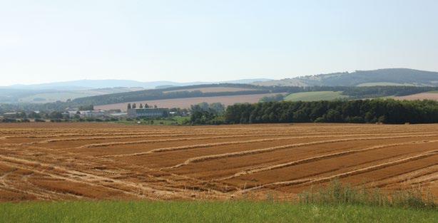 Bílé - Biele Karpaty 1 / 2016 Z KRONIKY Přední a Zadní louky Tyto dva historické snímky na sebe nepřímo panoramaticky navazují.