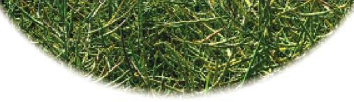 100 400 l vody/ha 0,5 1 l/ha 100 400 l vody/ha 1 l/ha 100 250 l vody/ha AT - ochranná lhùta je dána odstupem mezi termínem aplikace