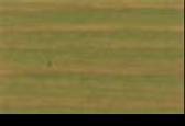 polo mat/ 50