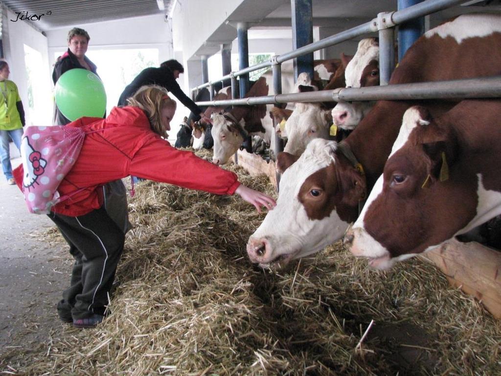 zahájení provozu bioplynové stanice,