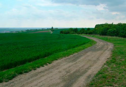 a hřbitova. Cesta z Hustopeče od servisní zóny do H.Bojanovic s horizontem na široký asfalt. trvá asi jen 15 minut, délka je 6 km.