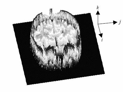 C.: Image Segmentation with Kohonen Neural Network
