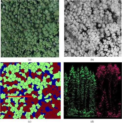 ecognition (Definiens) + LiDAR body odrazy