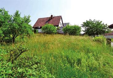 000,- Plocha pozemku 604 m² Plocha pozemku 8.165 m2 Plocha 459 m2, el., vod.