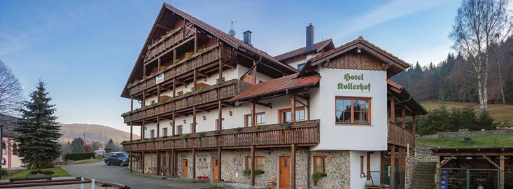 hotel alpského stylu se nachází v krásné části Šumavy, v blízkosti vodní nádrže Nýrsko, pouhých 1 200 m2 užitná