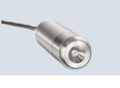 Encapsulated Antenna 2011