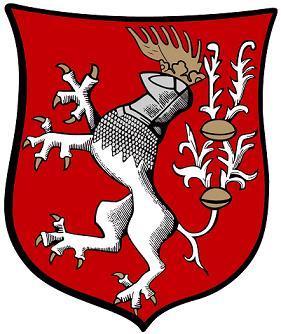 Strategie prevence kriminality města