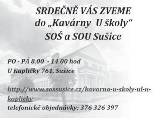 01/2017 města Sušice pro zadávání zakázek malého rozsahu na dodávku s názvem: Dovybavení sběrného dvora v Sušici vysokozdvižný vozík (1) a zároveň schvaluje firmy, které budou vyzvány k předložení