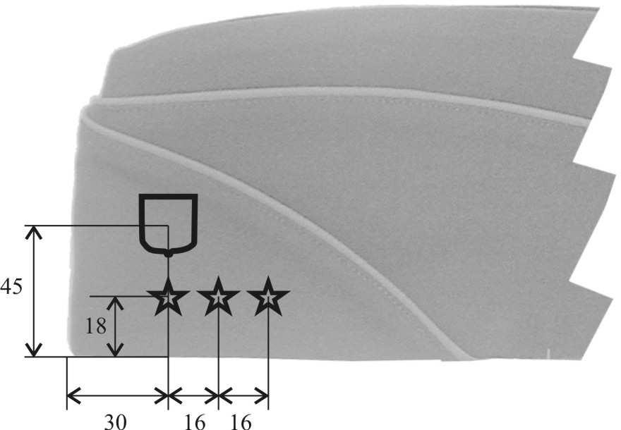 Hodnostní sbor nižší důstojníci Hodnostní sbor vyšší důstojníci poručík, nadporučík, kapitán major,