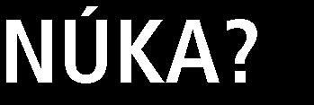 oblasti B2C a segmente on-line nakupovania,