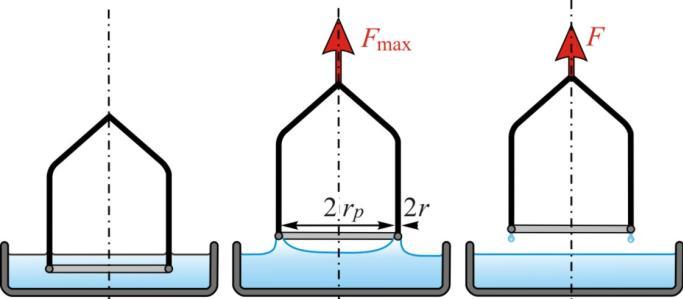 4. Měření některých fyzikálně-chemických charakteristik fázového rozhraní Equation Section 4 4.