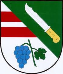 zastupitelstvem
