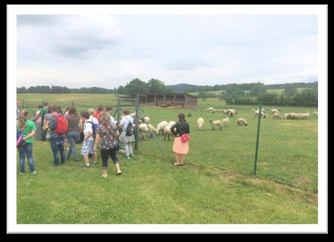 Jarní setkání EKOŠKOL Karlovarského kraje Dne 6.6.217 proběhlo setkání EKOŠKOLKarlovarského kraje v Hazlově.