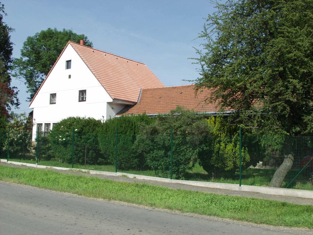 Naše innost Hlavní zam ení naší stanice lze d lit na: - výb r vhodných plodin, odr d a postup p i p stování rostlin v ekologickém zem d lství se zam ením na kvalitu bioprodukce.