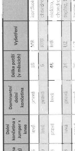 hokejbal RV, laser, RHB III.