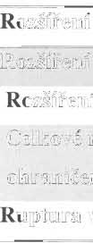 .. Zobrazovací metody V diagnostice Jumper's knee je nejvíce využívanou zobrazovací metodou ultrazvukové vyšetření (dále jen UZ).