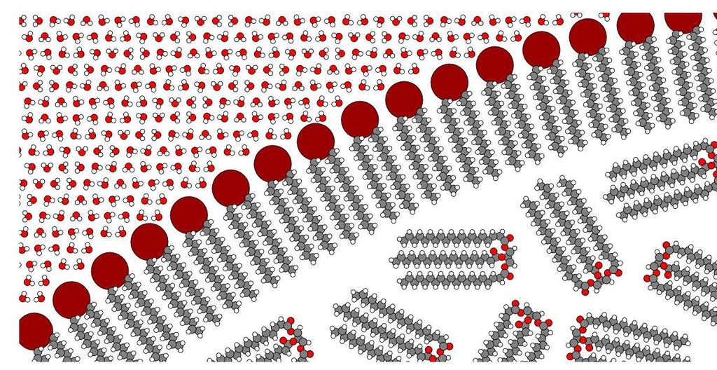 Tabulka 1 Hlavní třídy mléčných lipidů (upraveno podle [7]) Skupina lipidů Obsah [%] Triacylglyceroly 98,3 Diacylglyceroly 0,3 Monoacylglyceroly 0,03 Volné mastné kyseliny 0,1 Fosfolipidy 0,8 Steroly