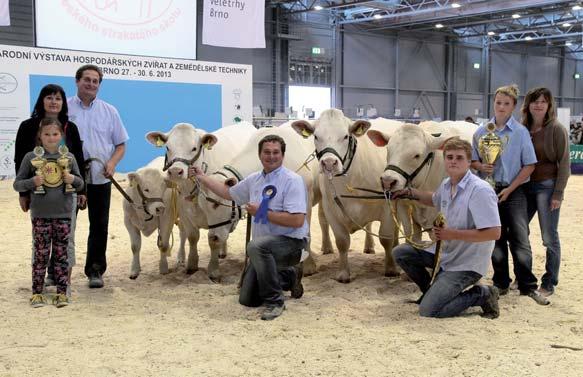Vývoj stavů a výsledky v ČR První dovozy jalovic plemene charolais se uskutečnily již v roce 1990 z Maďarska. V dalších letech se ale na importech podílela v rozhodující míře země původu.
