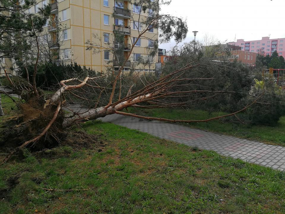 Technická pomoc odstranění nebezpečných stavů následkem silného větru. Bylo provedeno odklizení vyvráceného stromu na dětském hřišti v ulici Jana Zajíce u domu č. p. 986 (29.