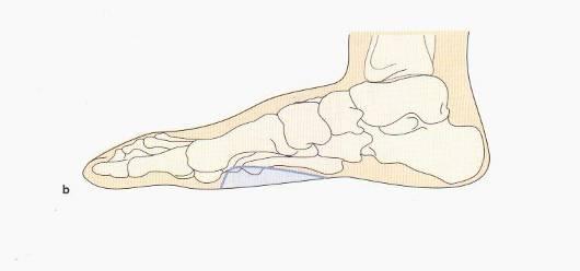 V textu vycházíme z Technische Orthopädie ( Orthesen und Schuhzurichtungen). 27 Obrázky související s textem jsou uvedeny za ním.