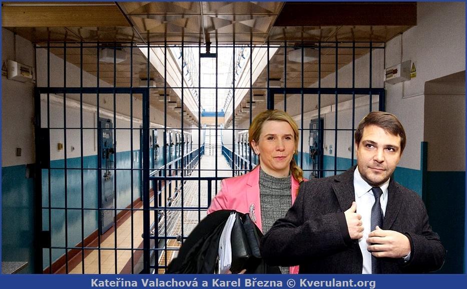 Dokončené kauzy JAK KVERULANT POMOHL VYHODIT ODSOUZENÉHO POLITIKA BŘEZINU Z MINISTERSTVA Pražský zastupitel Karel Březina byl v roce 2014 pravomocně odsouzen za spáchání podvodu v pražském dopravním