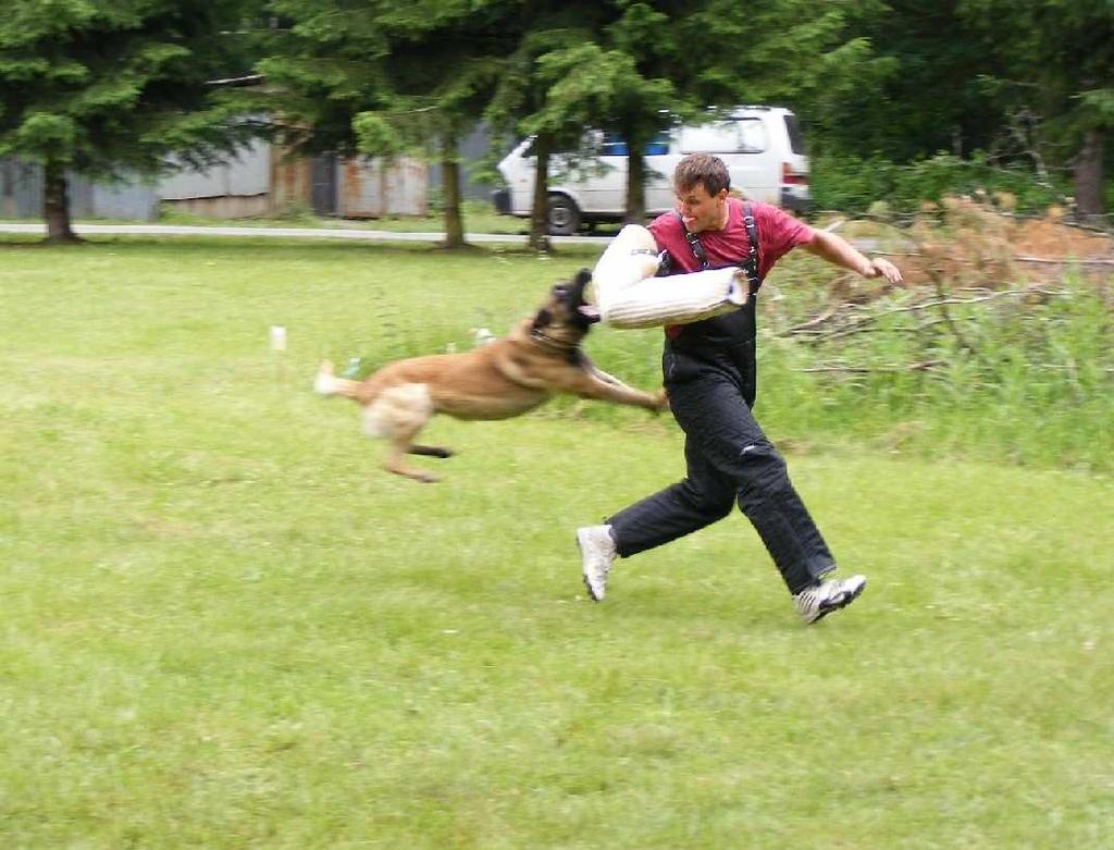 2008 na školní zahradě proběhla akce Bezpečná cesta ze školy a do školy ve spolupráci s Městskou policií České Budějovice. Zúčastnily se děti z MŠ, nižších ročníků ZŠ a ZŠS.