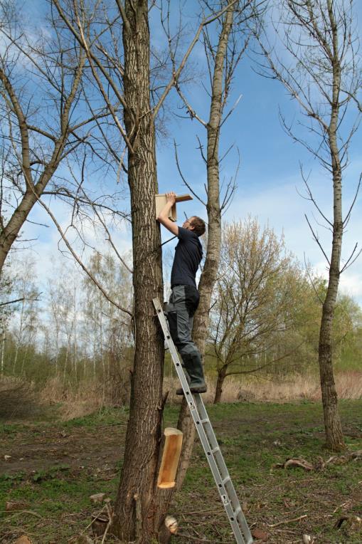 V roce 017 bylo provedeno více než 50 průzkumů výskytu a hnízdění chráněných druhů živočichů před plánovanými úpravami v různých lokalitách.