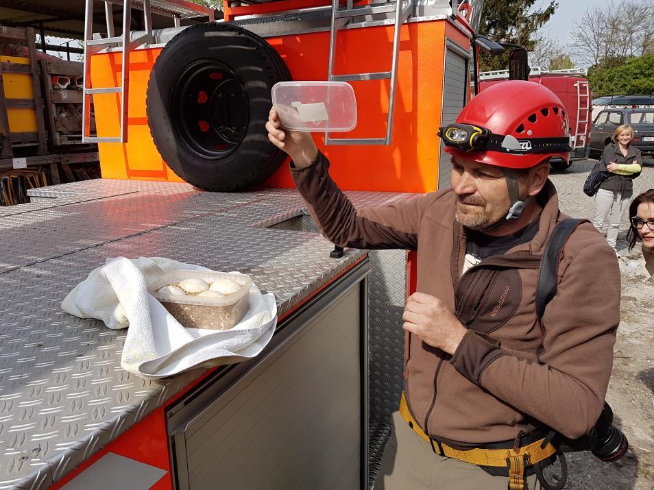 Chtěli bychom touto cestou velmi poděkovat starostovi obce Hořátev, který celou akci zorganizovat a zasloužil se o záchranu vajíček.