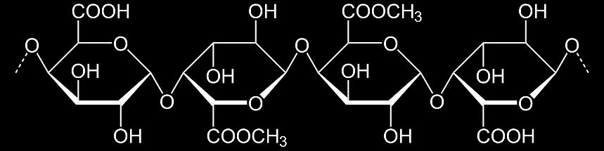 Rozpustná vláknina Rozpustná vláknina Inulin Inulin je polysacharid, který se vyskytuje u hvězdnicovitých rostlin a cibulovin. Je složen převážně z fruktózy, nicméně vždy začíná glukózou.